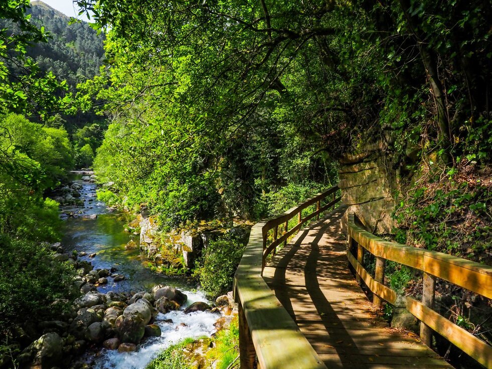 Encontro com a Água e Natureza
